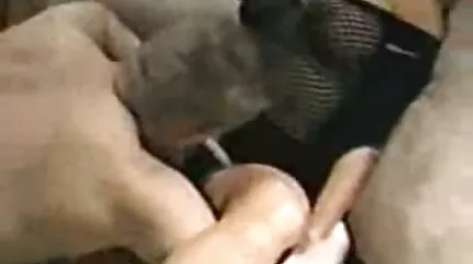 Дівчина смокче член по секс порно фільми голівці і облизує яйця.