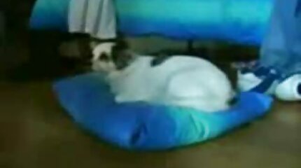 З вібратором